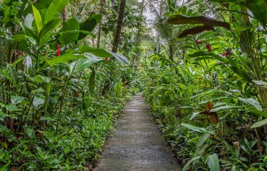 PRIVATE AND LUXURY BEACHFRONT PROPERTY – 680 ACRES