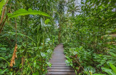 PRIVATE AND LUXURY BEACHFRONT PROPERTY – 680 ACRES