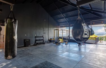 EXTRAORDINARY OCEAN-VIEW ESTATE & RETREAT OPPORTUNITY IN THE DIAMANTE VALLEY WITH RESTAURANT, POOL AND GYM – 3.5 ACRES