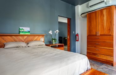 EXTRAORDINARY OCEAN-VIEW ESTATE & RETREAT OPPORTUNITY IN THE DIAMANTE VALLEY WITH RESTAURANT, POOL AND GYM – 3.5 ACRES