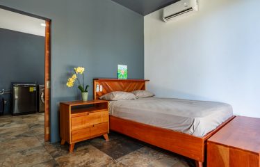 EXTRAORDINARY OCEAN-VIEW ESTATE & RETREAT OPPORTUNITY IN THE DIAMANTE VALLEY WITH RESTAURANT, POOL AND GYM – 3.5 ACRES