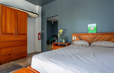 EXTRAORDINARY OCEAN-VIEW ESTATE & RETREAT OPPORTUNITY IN THE DIAMANTE VALLEY WITH RESTAURANT, POOL AND GYM – 3.5 ACRES