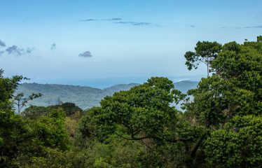 EXTRAORDINARY OCEAN-VIEW ESTATE & RETREAT OPPORTUNITY IN THE DIAMANTE VALLEY WITH RESTAURANT, POOL AND GYM – 3.5 ACRES