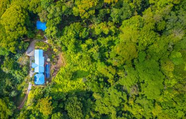 3 BEDROOM HOME WITH PRIVACY, OCEAN AND JUNGLE VIEWS – 5 ACRES
