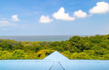 3 BEDROOM HOME WITH PRIVACY, OCEAN AND JUNGLE VIEWS – 5 ACRES