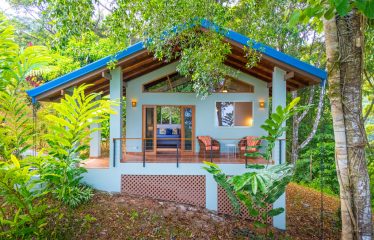 3 BEDROOM HOME WITH PRIVACY, OCEAN AND JUNGLE VIEWS – 5 ACRES