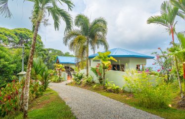 3 BEDROOM HOME WITH PRIVACY, OCEAN AND JUNGLE VIEWS – 5 ACRES