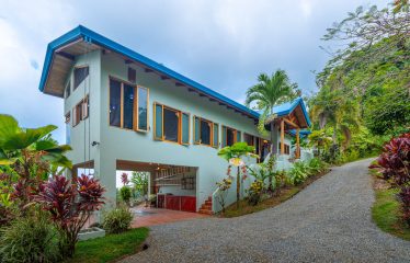 3 BEDROOM HOME WITH PRIVACY, OCEAN AND JUNGLE VIEWS – 5 ACRES