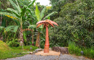 3 BEDROOM HOME WITH PRIVACY, OCEAN AND JUNGLE VIEWS – 5 ACRES