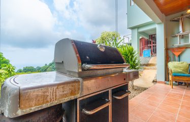 3 BEDROOM HOME WITH PRIVACY, OCEAN AND JUNGLE VIEWS – 5 ACRES