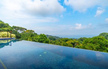 3 BEDROOM HOME WITH PRIVACY, OCEAN AND JUNGLE VIEWS – 5 ACRES