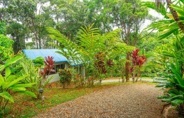 3 BEDROOM HOME WITH PRIVACY, OCEAN AND JUNGLE VIEWS – 5 ACRES