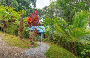 3 BEDROOM HOME WITH PRIVACY, OCEAN AND JUNGLE VIEWS – 5 ACRES