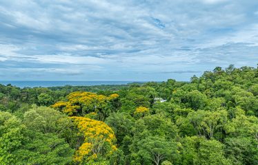 PROPERTY WITH RECORDING STUDIO, OCEAN VIEWS – 2.56 ACRES