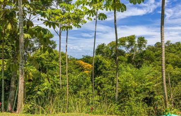 PROPERTY WITH RECORDING STUDIO, OCEAN VIEWS – 2.56 ACRES