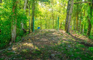 PROPERTY IN DOWNTOWN UVITA – 3.534 ACRES