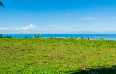 PROPERTY IN UVITA WITH OCEAN VIEW – 2.23 ACRES