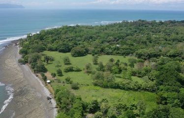PROPERTY IN MATAPALO WITH OCEAN AND FOREST VIWES – 12 ACRES