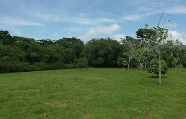 PROPERTY IN MATAPALO WITH OCEAN AND FOREST VIWES – 12 ACRES