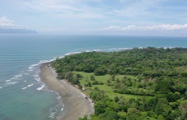 PROPERTY IN MATAPALO WITH OCEAN AND FOREST VIWES – 12 ACRES