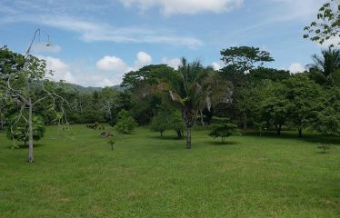 PROPERTY IN MATAPALO WITH OCEAN AND FOREST VIWES – 12 ACRES