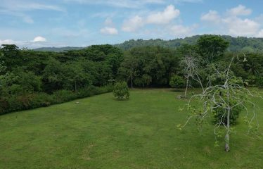 PROPERTY IN MATAPALO WITH OCEAN AND FOREST VIWES – 12 ACRES
