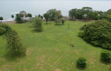 PROPERTY IN MATAPALO WITH OCEAN AND FOREST VIWES – 12 ACRES