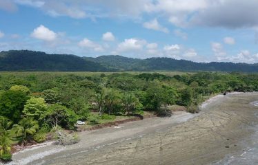 PROPERTY IN MATAPALO WITH OCEAN AND FOREST VIWES – 12 ACRES