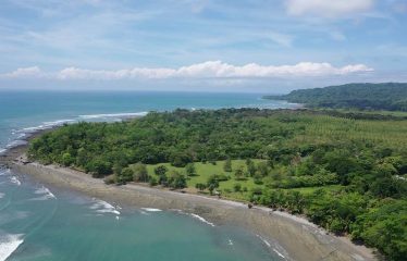 PROPERTY IN MATAPALO WITH OCEAN AND FOREST VIWES – 12 ACRES