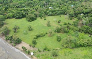 PROPERTY IN MATAPALO WITH OCEAN AND FOREST VIWES – 12 ACRES
