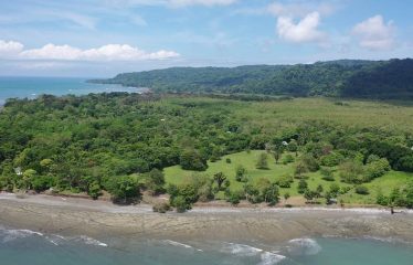 PROPERTY IN MATAPALO WITH OCEAN AND FOREST VIWES – 12 ACRES