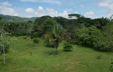 PROPERTY IN MATAPALO WITH OCEAN AND FOREST VIWES – 12 ACRES