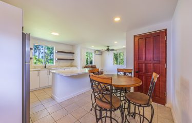 PROPERTY WITH 5 BEDROOMS, IN LAUGUNAS – 17 ACRES