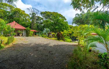 PROPERTY WITH TWO VILLAS, IN PUNTA DE MIRA – 2.5 ACRES