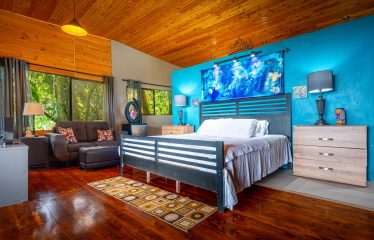 PROPERTY WITH TWO VILLAS, IN PUNTA DE MIRA – 2.5 ACRES