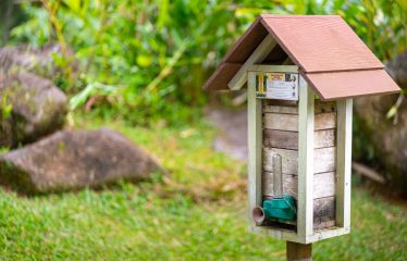 PROPERTY WITH TWO VILLAS, IN PUNTA DE MIRA – 2.5 ACRES