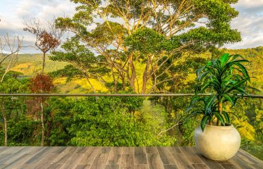 LUXURY PROPERTY WITH THREE BEDROOMS – 0.5 ACRES