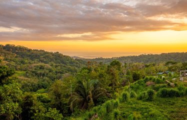 LUXURY PROPERTY WITH THREE BEDROOMS – 0.5 ACRES