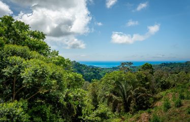 LUXURY PROPERTY WITH THREE BEDROOMS – 0.5 ACRES