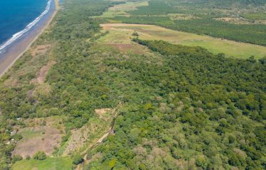 PROPERTY NEAR TO THE BEACH, IN MATAPALO – 170 ACRES