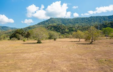 PROPERTY NEAR TO THE BEACH, IN MATAPALO – 170 ACRES