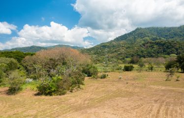 PROPERTY NEAR TO THE BEACH, IN MATAPALO – 170 ACRES