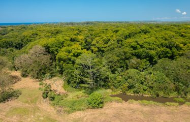 PROPERTY NEAR TO THE BEACH, IN MATAPALO – 170 ACRES