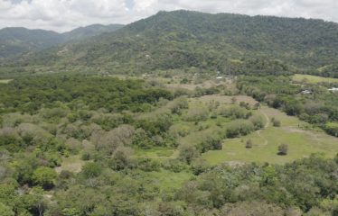 PROPERTY NEAR TO THE BEACH, IN MATAPALO – 170 ACRES