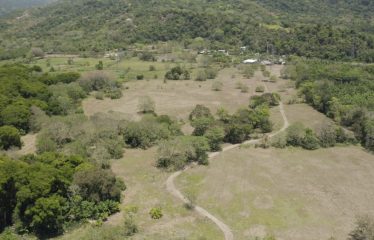 PROPERTY NEAR TO THE BEACH, IN MATAPALO – 170 ACRES
