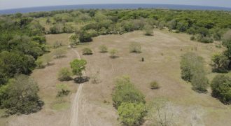 PROPERTY NEAR TO THE BEACH, IN MATAPALO – 170 ACRES