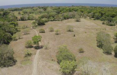 PROPERTY NEAR TO THE BEACH, IN MATAPALO – 170 ACRES