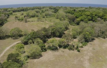 PROPERTY NEAR TO THE BEACH, IN MATAPALO – 170 ACRES