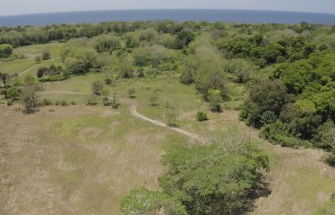 PROPERTY NEAR TO THE BEACH, IN MATAPALO – 170 ACRES
