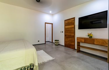 PROPERTY WITH 4 BEDROOM HOME, IN OJOCHAL – 12 ACRES